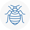Bed Bug Extermination In New Cross
