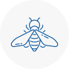 Bee Nest Removal New Cross