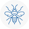 New Cross Hornet Nest Removals