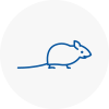 Mice Exterminators In New Cross