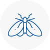 Moth Control Specialists In New Cross