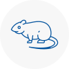 Rat Control New Cross