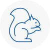 New Cross Rodent Removals