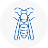 New Cross Wasp Nest Removal